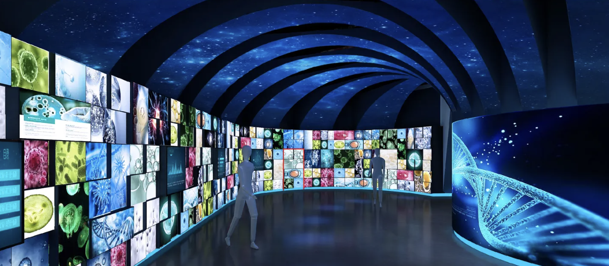 生物医疗科普馆设计—思威图数字领你体验恩大干细胞科普馆展厅